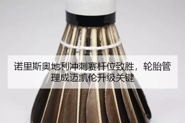 诺里斯奥地利冲刺赛杆位致胜，轮胎管理成迈凯伦升级关键